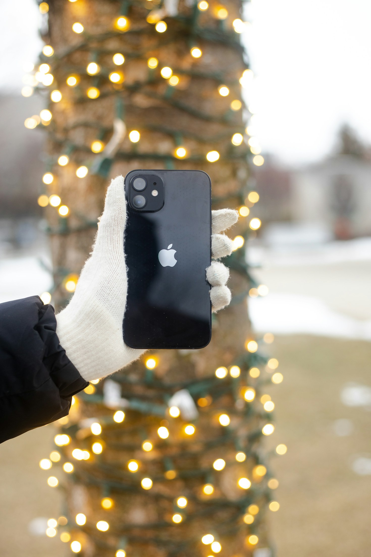 How Seniors Can Master iPhone Photography Quickly